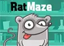Rat Maze