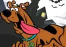 Jogar Run Run Scooby