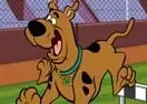Scooby-Doo Hurdle Race