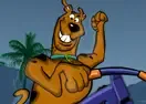 Jogar Scooby Shadow Race