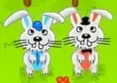 Jogar Short Legs Want Rabbits