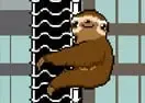 Jogar Slippery Sloth