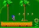 Jogar Sonic Xtreme
