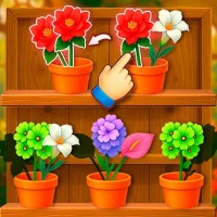 Jogar Sort Flower