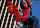 Spider-Man 3 - Photo Hunt