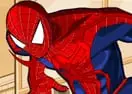 Spiderman Costume