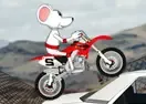 Jogar Stunt Moto Mouse