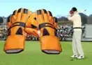 Jogar Test Catch Cricket