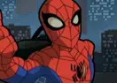 The Spectacular Spider-Man Spiderbike Racing