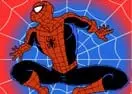 Jogar The Spiderator - Meninas