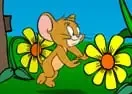 Jogar Tom and Jerry Cheese Hunt