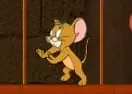 Jogar Tom And Jerry Majestic Pyramid