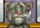 Jogar Tom Cat Shaving