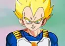Vegeta Dress Up