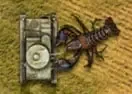 Jogar World Of Tanks The Crayfish